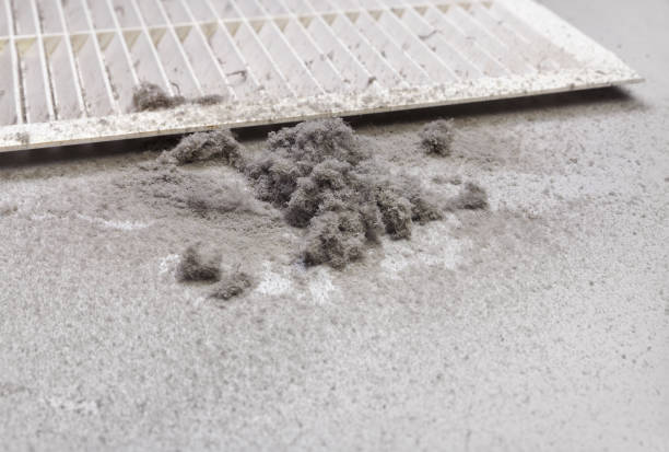 Best Local Air Duct Cleaning Services  in Gainesville, FL