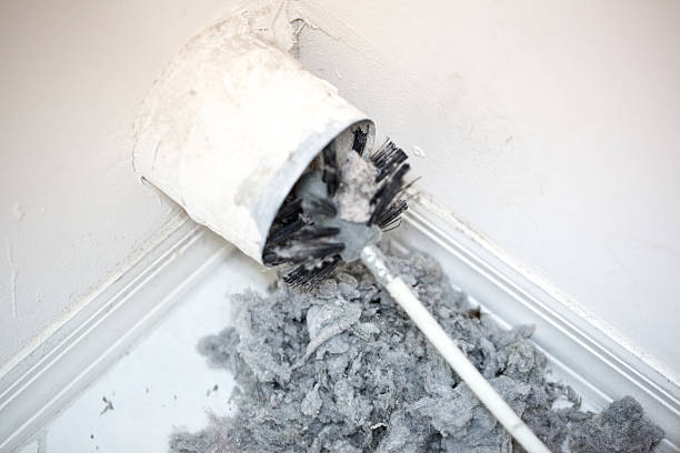 Best Affordable HVAC Duct Cleaning  in Gainesville, FL