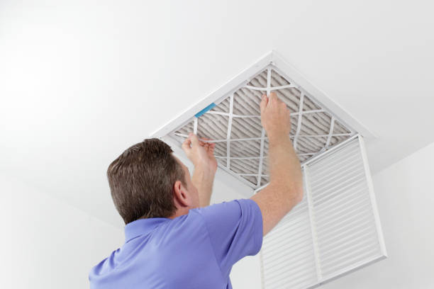 Best Ventilation Cleaning Services  in Gainesville, FL